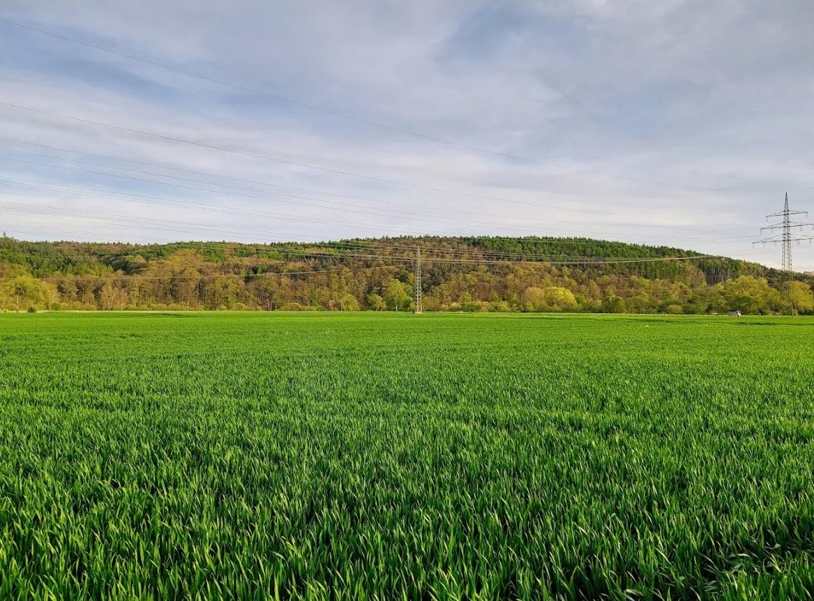 Burgruine Milnrode, Bad Hersfeld, Germany, Germany